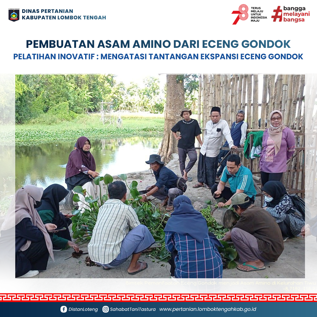 Pelatihan Pembuatan Asam Amino dari Eceng Gondok : Strategi Penanggulangan Ekspansi Eceng Gondok di Bendungan Batujai