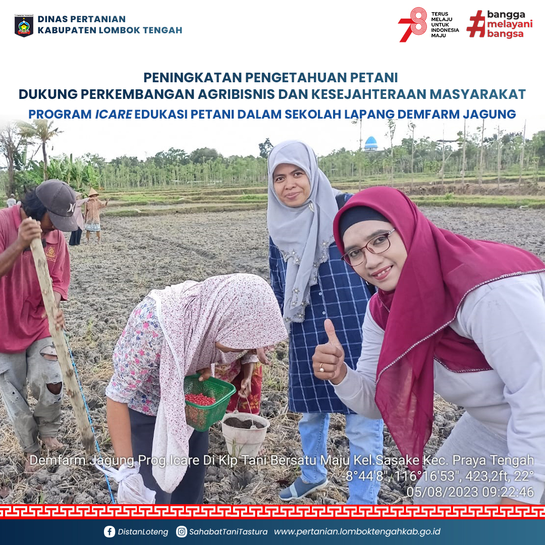 Menginspirasi Pertumbuhan Agribisnis Lokal: Program Icare Berhasil Edukasi Petani dalam Sekolah Lapang Demfarm Jagung di Lombok Tengah